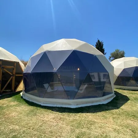 Therapy Igloo