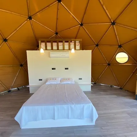 Therapy Igloo Bed and Breakfast